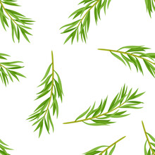 Tea Tree Seamless Pattern. Botanical Background With Melaleuca Alternifolia Green Leaves. Vector Illustration Of Branches Of Medicinal Herbs In Cartoon Flat Style.