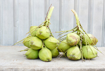 Wall Mural - fresh coconut in the market