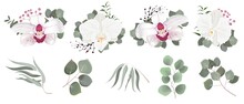 Vector Set Of Flowers And Herbs. White Orchid, Various Plants, Leaves, Grass. Collection Of Greenery, Eucalyptus.