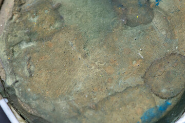 Wall Mural - Close-up macro shot of beautiful vibrant watercolour pallete with plenty of texture and details