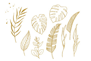 set of golden tropical leaves. graphic drawing of palm leaves, monstera, banana. isolated clipart on white background