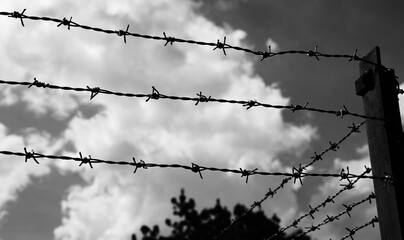 barbed wire to confine the edges of the field against evasion