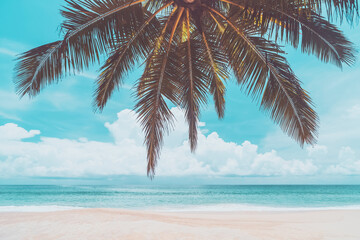 Wall Mural - palm tree on tropical beach with blue sky and white clouds abstract background. copy space of summer