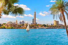 Cairo Downtown Behind The Palms And Sailboat In The Nile, Egypt, Africa
