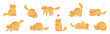 © wowomnom - Vector set of illustration with happy cute red cat character on white color background. Flat line art style design of group of animal cat in different pose