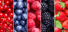 Collage Of Ripe Juicy Summer Berries. Top View. Close-up