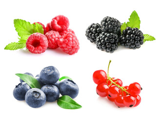 Wall Mural - Set of different wild fresh berries isolated on white background