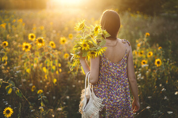 Wall Mural - Beautiful woman gathering sunflowers in warm sunset light in summer meadow. Stylish young female picking sunflowers in evening field. Tranquil atmospheric moment in countryside