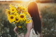 Beautiful Woman Holding Sunflowers Bouquet Close Up In Warm Sunset Light In Summer Meadow. Tranquil Atmospheric Moment In Countryside. Stylish Female With Sunflowers In Evening Field