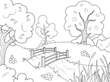 Landscape Nature, Garden With Trees And River. Wooden Bridge. Children Coloring Book.