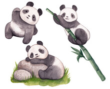 Watercolor Pandas Isolated Elements