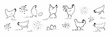 Set Of Cute Chicken Hen Doodle Drawing For Yours Coloring And Print
