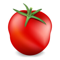 Wall Mural - red tomato realistict object mesh. doodle icon drawing. vector illustration draw