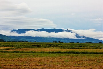 landscape with mountains