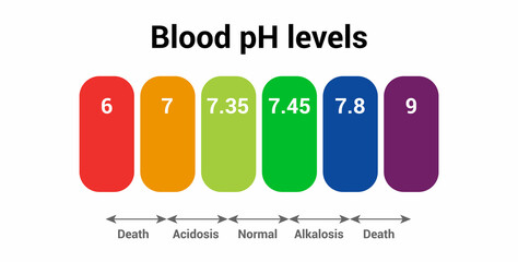 Poster - Human blood pH level icon