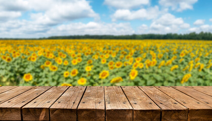 Wall Mural - Empty old wooden table with sunflowers field in background