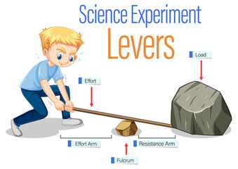 Wall Mural - levers simple machine science experiment