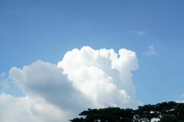 a cloudy white formations looking over tree tops before the raining.