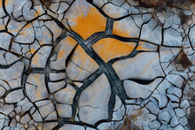 Dried Earth Texture With Black Cracks