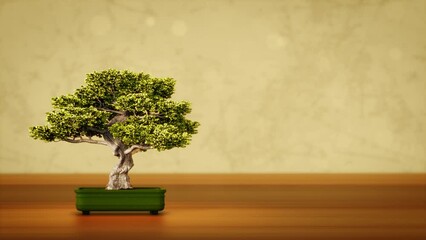 Wall Mural - Beautiful Japanese bonsai tree with free space