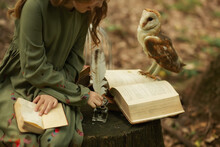 The Girl Writes With A Pen. Near Sits An Owl On An Open Book. Forest Background.