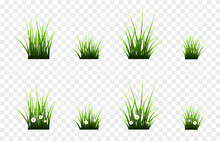 Vector Young Grass Png. Lawn, Bunches Of Grass On An Isolated Transparent Background. Background With Grass.