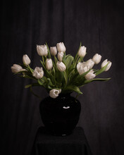 Still Life Of White Tulips In A Vase In Classic Painterly Dark Style