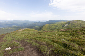 Wall Mural - Panorama of mountains in the Ukrainian Carpathians on a summer day.