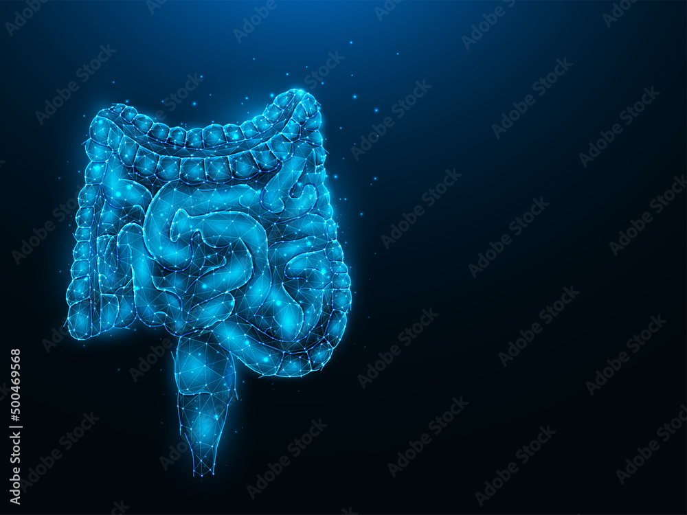 Abstraction polygonal vector illustration of the intestines on a dark ...