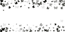 Romantic Black Butterflies Isolated Vector Illustration. Spring Pretty Moths. Decorative Butterflies Isolated Dreamy Background. Gentle Wings Insects Patten. Nature Creatures.