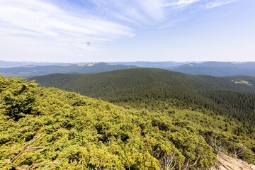 Poster - Mountain landscape in Ukrainian Carpathians in summer.