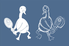 Funny Goose Illustration
