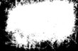 © Jozsef - Grunge border vector texture background. Abstract frame overlay. Dirty and damaged backdrop. Vector graphic illustration with transparent white. EPS10.