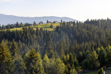 Wall Mural - Panorama of mountains in the Ukrainian Carpathians on a summer day.