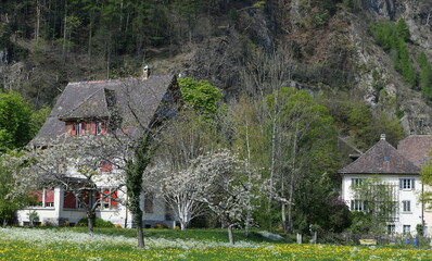 Wall Mural - house in the mountains