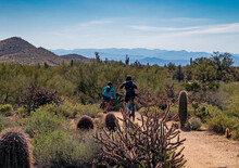 Two Mountain Bikers Riding On Desert Trail In Scottsdale, AZ