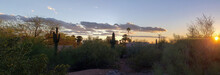 Sonoran Desert Sunset, Scottsdale, Arizona