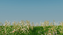 Spring Meadow With Long Grass, Wild Flowers And Clear Blue Sky. Natural Wallpaper With Space For Copy.