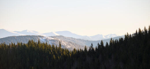 Canvas Print - Panoramic mountain landscape with snowy high peaks and wooded valley