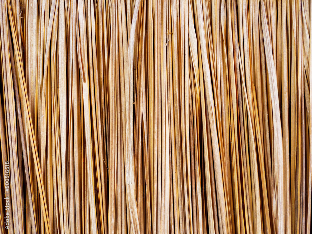 Vetiver Wallpaper main image 1