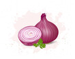 Onion vector illustration with onion green leaves