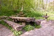 Ein Rastplatz im Frühling im Wald bestehend aus Feuerstelle, Quelle und einem Tisch mit Sitzbänken aus Baumstämmen. 