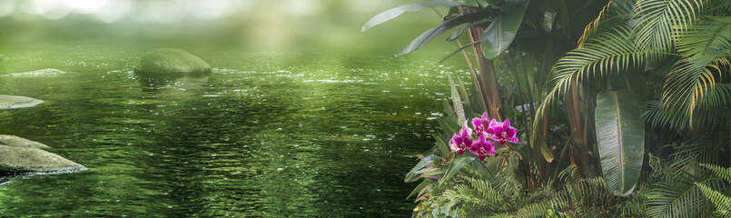 Canvas Print - beautiful tropical vegetation lakeside in sunhine, natural spa background, idyllic green wilderness on the water, photo composition concept