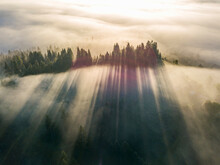 Fog Envelops The Mountain Forest. The Rays Of The Rising Sun Break Through The Fog. Aerial Drone View.