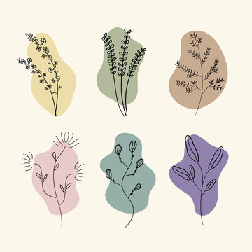 vector icon outline flower botanical flower leaf. isolated background
