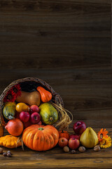 Thanksgiving day background with empty copy space. Pumpkin harvest in wicker basket. Squash, orange vegetable autumn fruit, apples, and nuts on a wooden table. Halloween decoration fall design