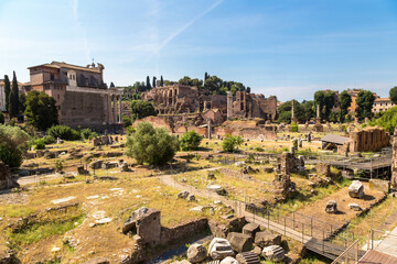 Wall Mural - Ancient ruins of Forum in Rome