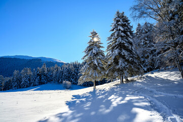 Wall Mural - Val de Payolle