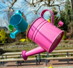 Wall Mural - garden watering can, watering flowers, gardening work