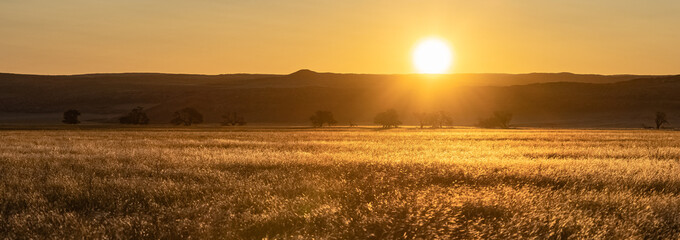 namibia, panorama of the sunset on the namib desert, wild landscape in the dead valley